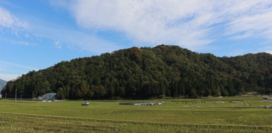 越前・戌山城