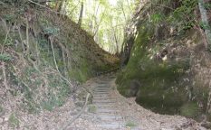 佐土原城