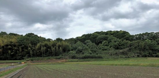 備中・茶臼山城