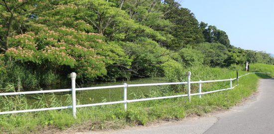 佐渡・青木城