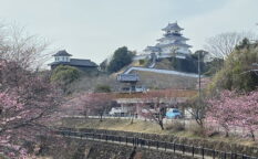 掛川城