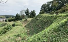 武蔵・杉山城