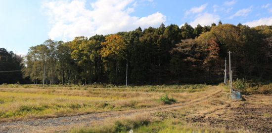額田城