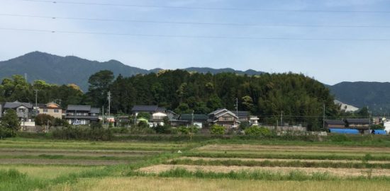 三河・野田城