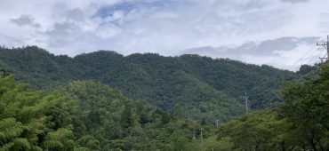 大桑城