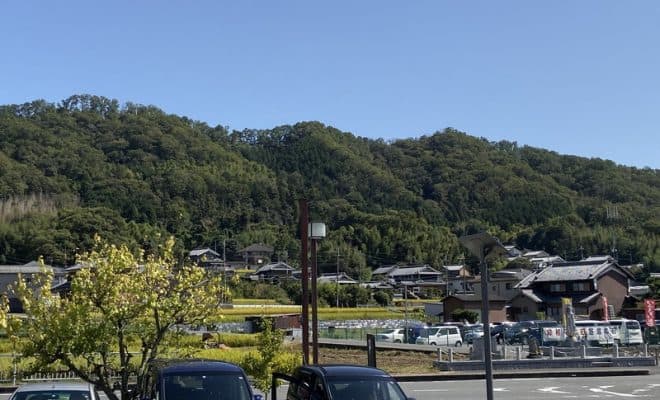 椿井城