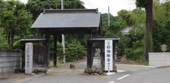上野・菅沼城