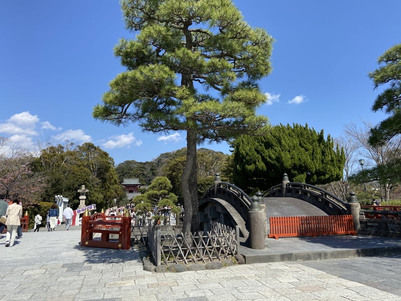 鎌倉城とは 鎌倉幕府が築かれた鎌倉の城域 お城解説 日本全国 1000情報 城旅人