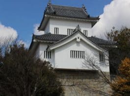 拳母城(七州城)