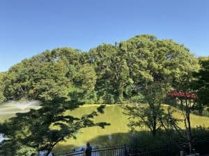 茶臼山(摂津・大塚城)