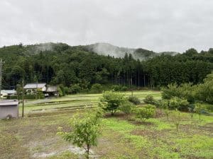 下野・藤沢城(鍋山城)