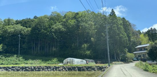 伊豆・田代城(Ⅱ城)