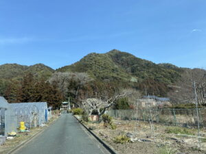 亀穴城(三河・滝山城)