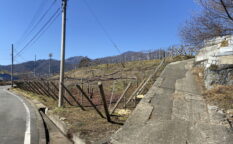 中牧城(浄古寺城)