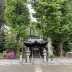 大豆戸城 (小幡泰久館)