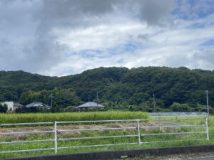 竜ヶ井城(竜崖城)